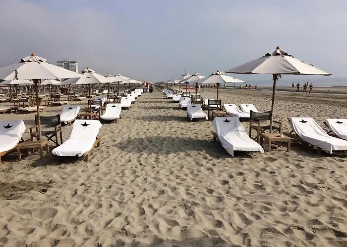 M House Art Milano Marittima