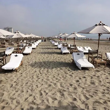 M House Art Milano Marittima